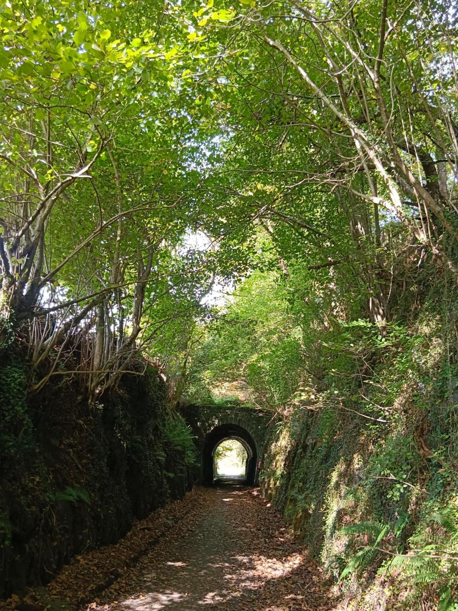 Hostal-Cicloturismo Lopenea เลทา ภายนอก รูปภาพ